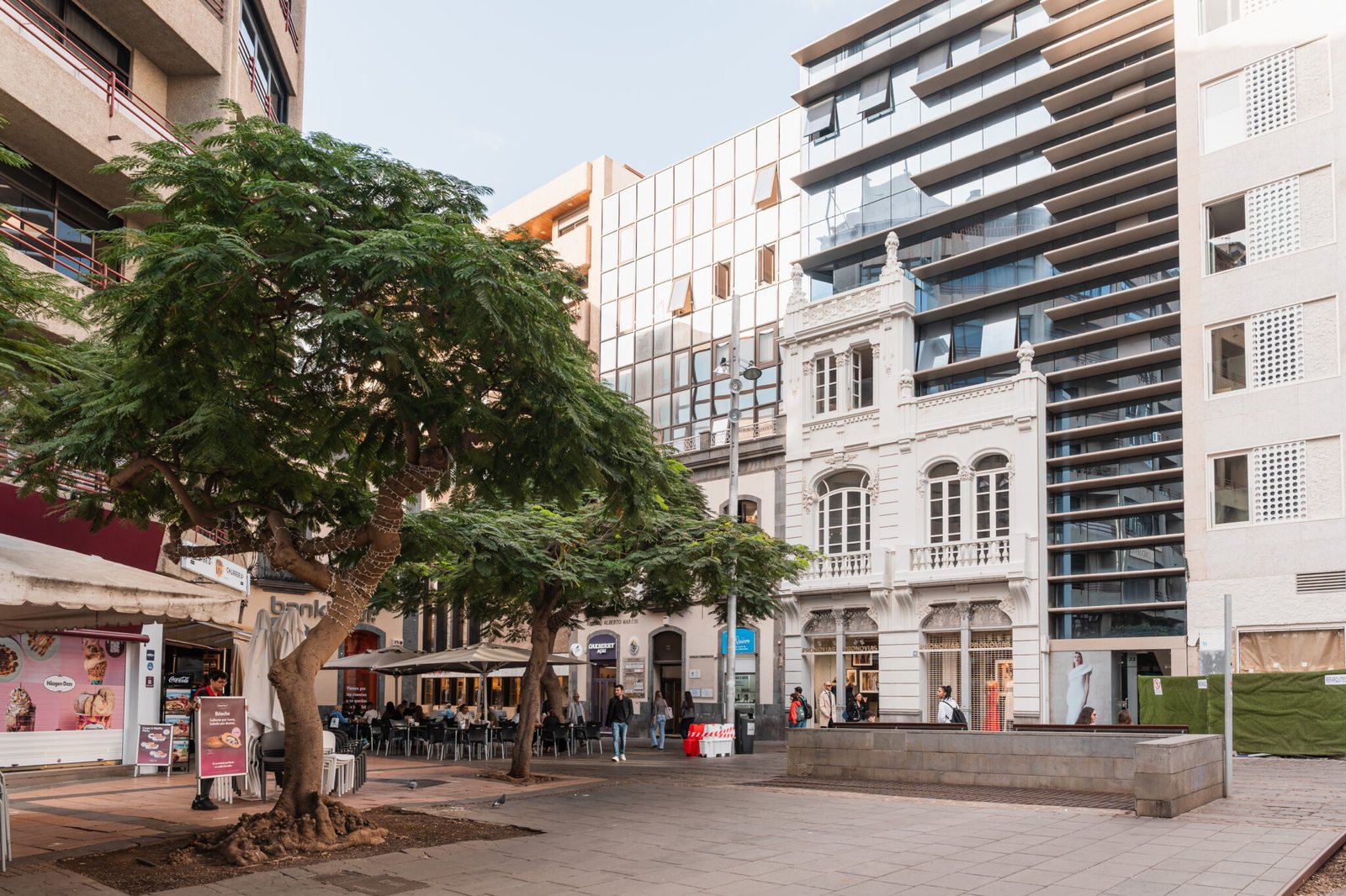 Tour gastronómico de tapas y vinos en Santa Cruz de Tenerife