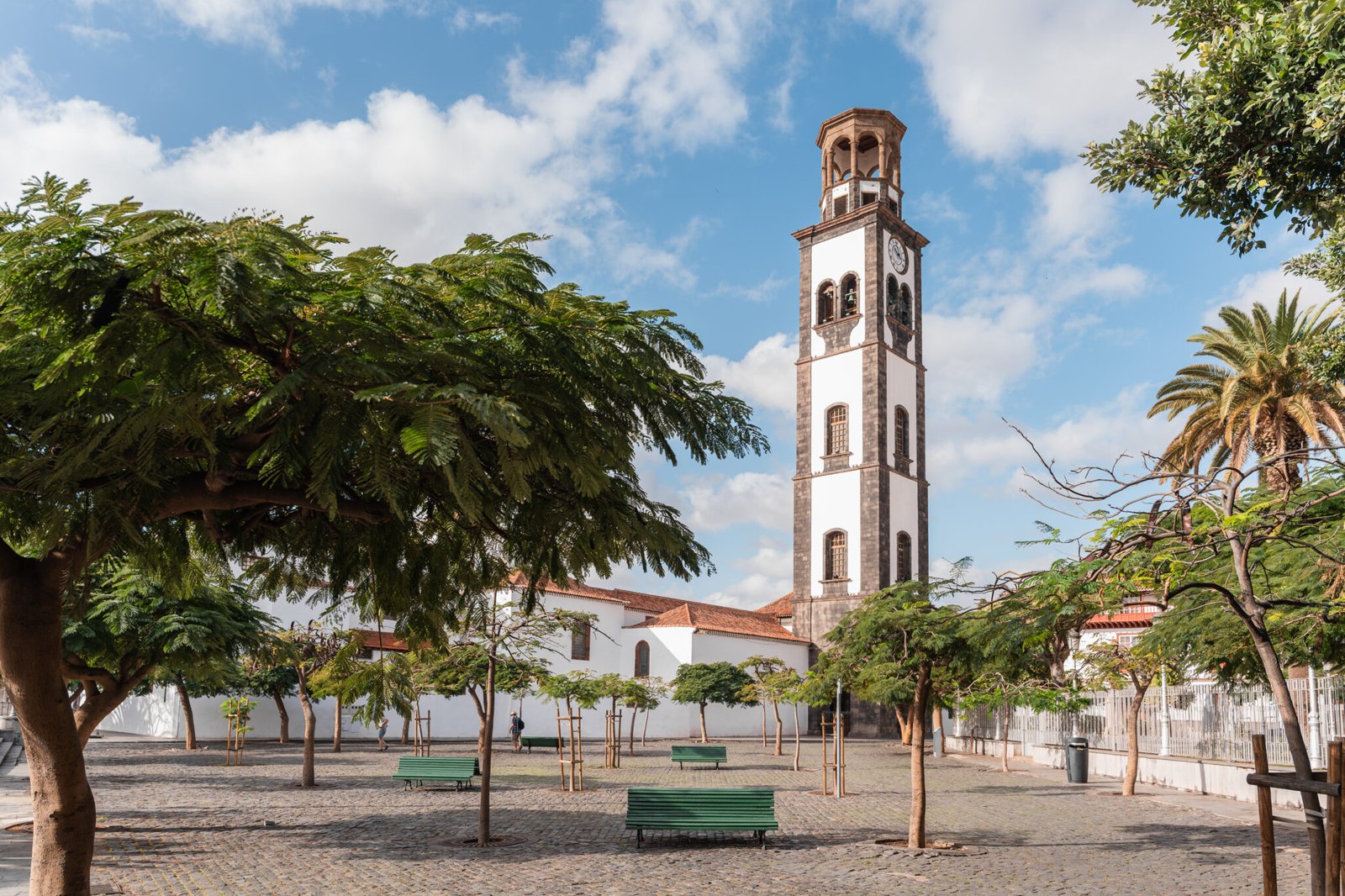 Tour gastronómico de tapas y vinos en Santa Cruz de Tenerife